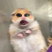 sinoki Y/n