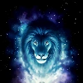 thú cưng - lion
