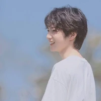 Lưu Diệu Văn