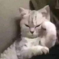 tác giả hành hạ mồm lèo