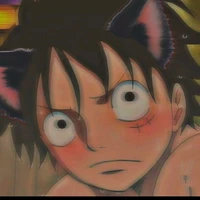 Monkey D. Luffy🍖