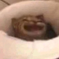 all