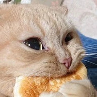 Cô giáo cutii