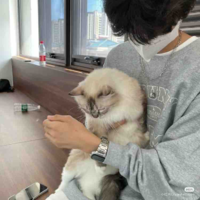 Quách Kim Ngưu 