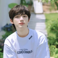 Đinh Trình Hâm