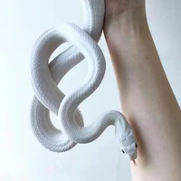 Nasuri