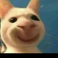 Tác giả nè:))
