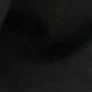 đa nv