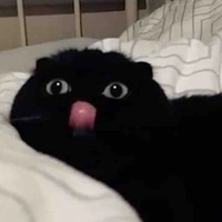 Tớ nè mấy nàng