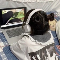 Y/N