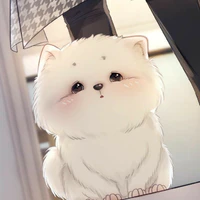 Hệ thống