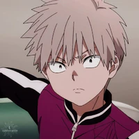Shiki