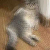 All