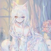 y/n
