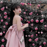 Yến