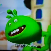 hệ thống zin zin