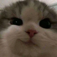 cả lớp