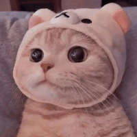 tác giả nè :3