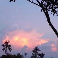 mọi người có mặt ở đó