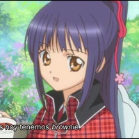 Nadeshiko Fujisaki