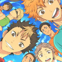 All(Karasuno)