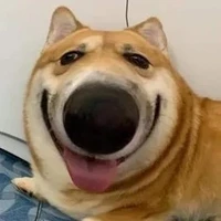 Tác giả