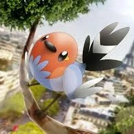 Fletchling