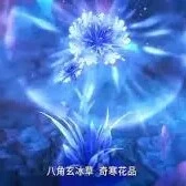 bát giác huyền băng thảo/ bát giác