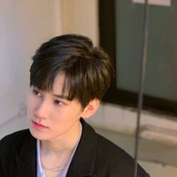 Trương Chân Nguyên