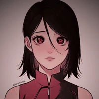 Uchiha Sarada (NT)