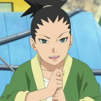 Nara Shikadai