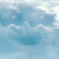 ba/mẹ của Nhược Nhu
