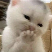 Ri_🙆‍♂️🌷✨🥰🌹💐🍀🪐☁💦🐸❄🤡🎉