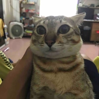 Tác giả