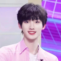 Đinh Trình Hâm (Đại Điện Hạ)