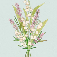 ✿ʚChivasɞ‿