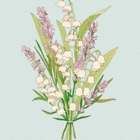 ✿ʚChivasɞ‿
