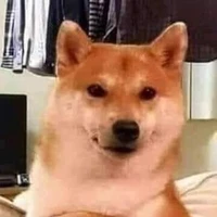 Vô Dụng - ăn hại