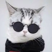 Vô Tích Sự - trợ lý