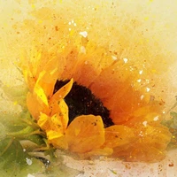 Hội xuyên không