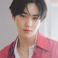 Gemini Suho