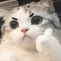 all trừ những ai cần trừ