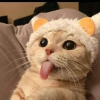t/g cute