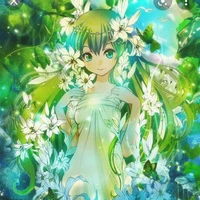 Rinty - Green Tea