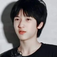 Nghiêm Hạo Tường (robot) 16t