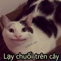 Đũy quạ:)))