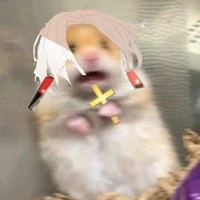 T/g íu đúii