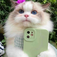 Tui là tác giả đêyyy