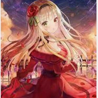 Ninh bảo ngọc(blood rose)