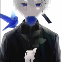 Trần văn phong(blue pumpkin flowe)